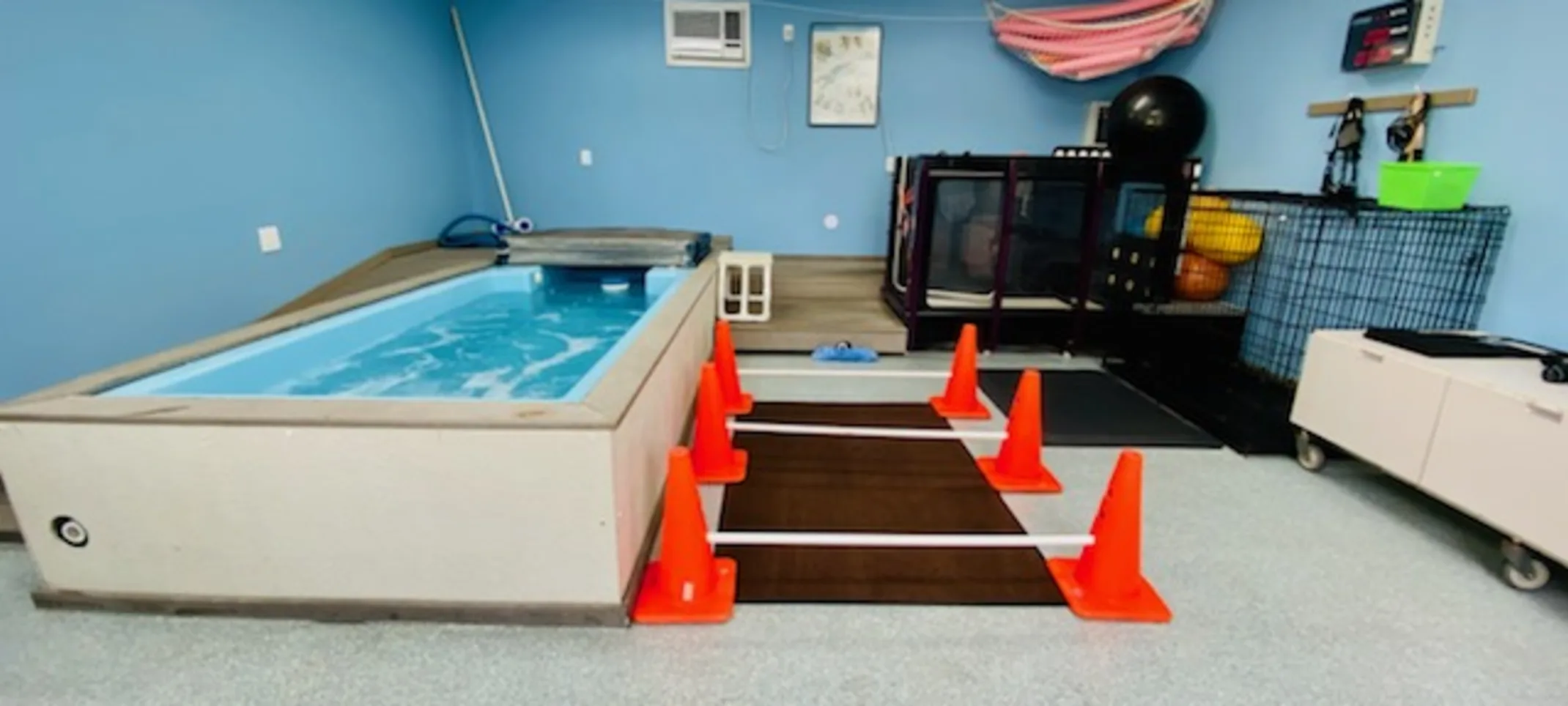 Hydrotherapy Station with pool